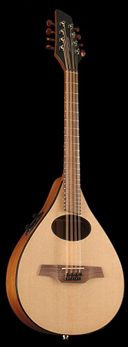 Custom Acoustic Mandolin