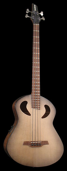 Custom Bass Guitar